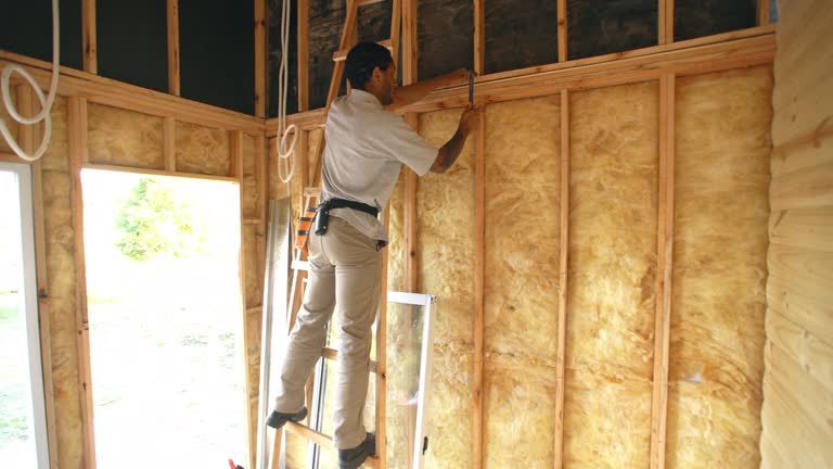 Best Insulation Removal  in USA